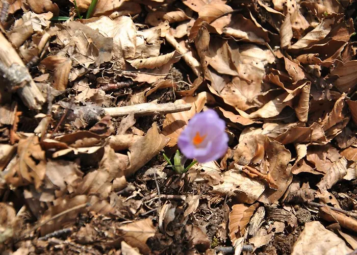 A Casa Di Franco アパート *